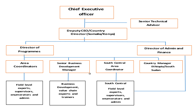 IDV Organizational Structure
