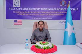 Immigration and Citizenship Agency Plan